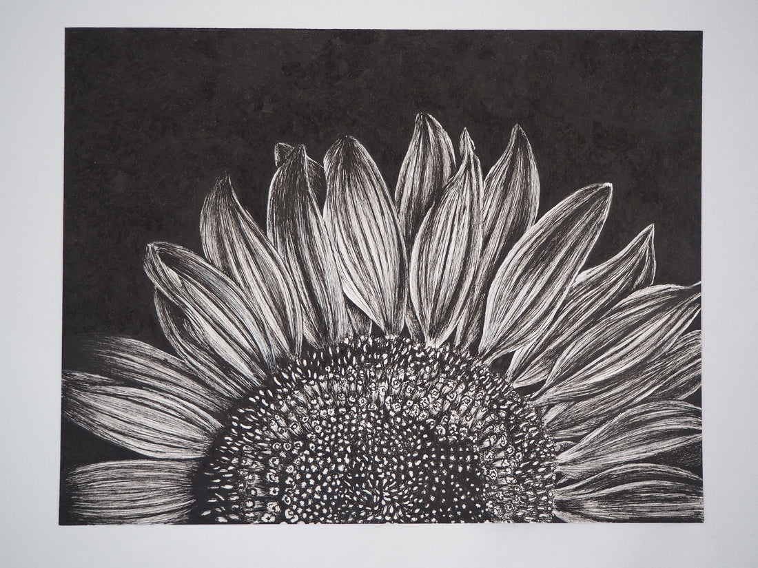 Sunflower Pen and Ink Drawing by Joanie Isom