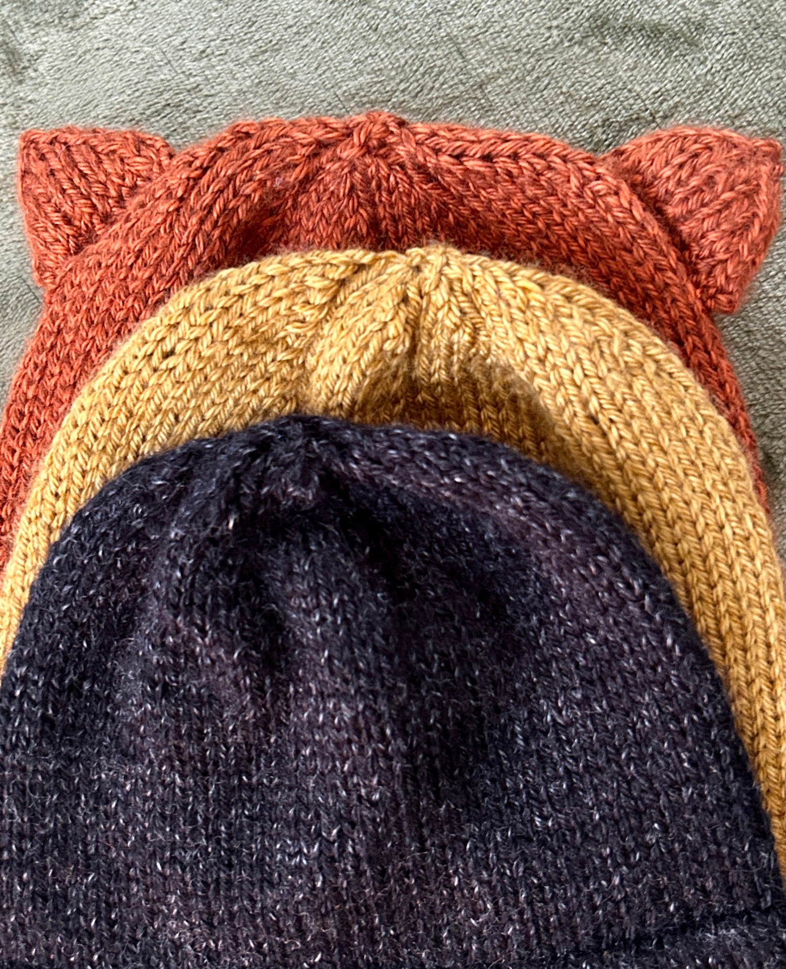 Three double brim knit beanie hats is assorted fall colors with adjustable knit cat ears