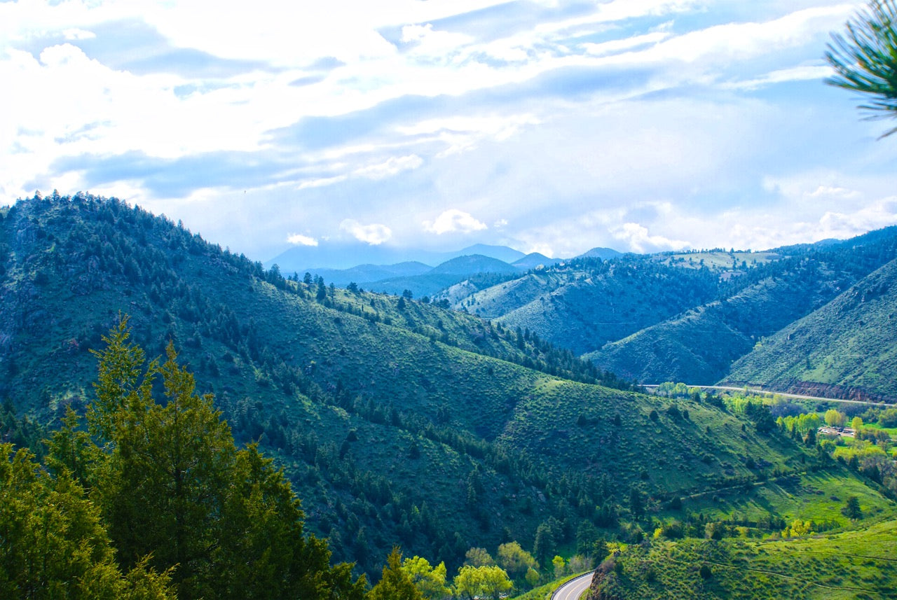 Sunshine on a mountainous valley with pine and cottonwood trees i the distance.