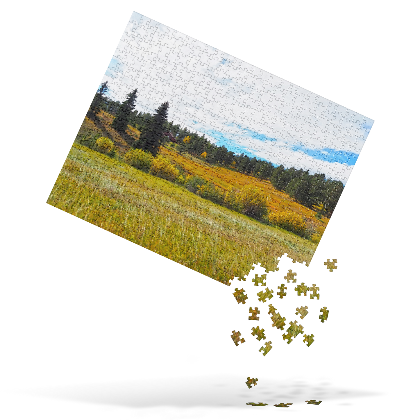 Jigsaw Puzzle of Meadow